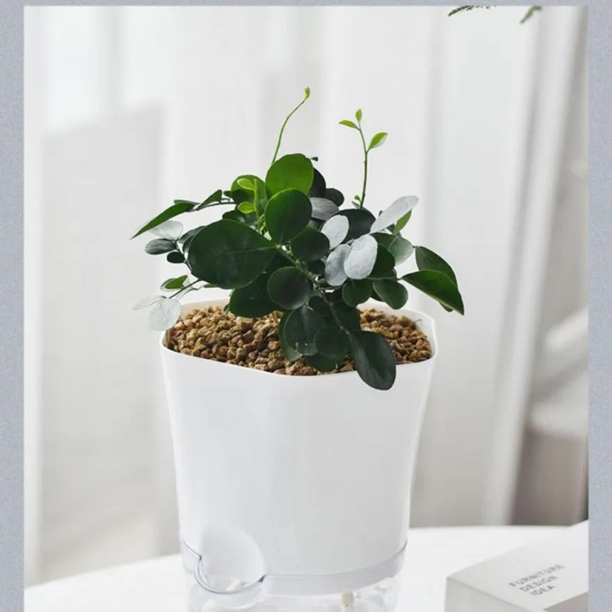 Norvo | Blomsterpotte med vannbeholder – Selvvannende blomsterpotte for stueplanter