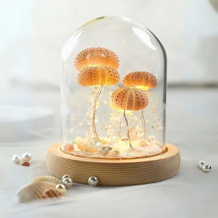 Norvo | LumiCraft – Unik DIY bordlampe med naturlig sjøskjell for en koselig dekor
