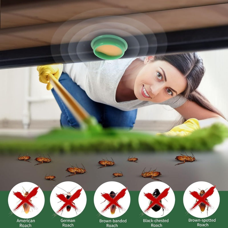 Norvo | Barn- & Kjedyrssikre Kaker for Kakerlakker