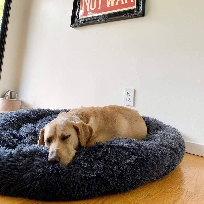 Norvo | Beroligende Hundeseng