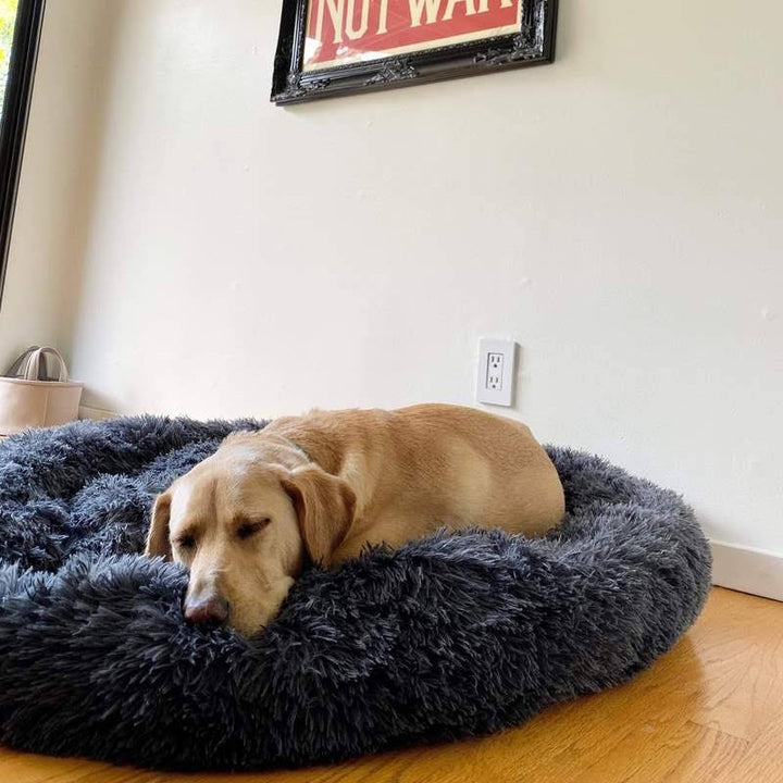 Norvo | Beroligende Hundeseng