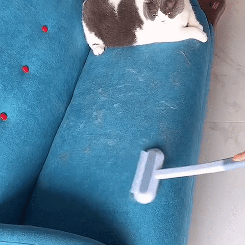 3-i-1 Kjæledyrhårfjerner - PetClean Pro Norvo