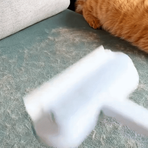 3-i-1 Kjæledyrhårfjerner - PetClean Pro Norvo