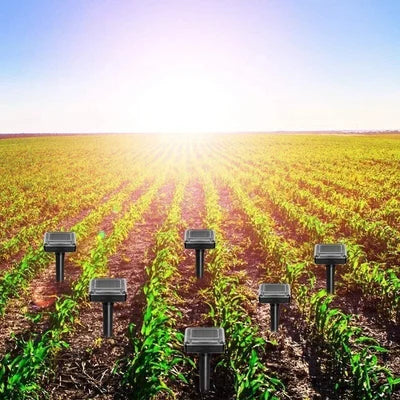 Norvo | Sonic Green Solar Dyre Avskrekkere med Ultralyd | Mot Mus, Muldvarper & Slanger | Værbestandig & Miljøvennlig