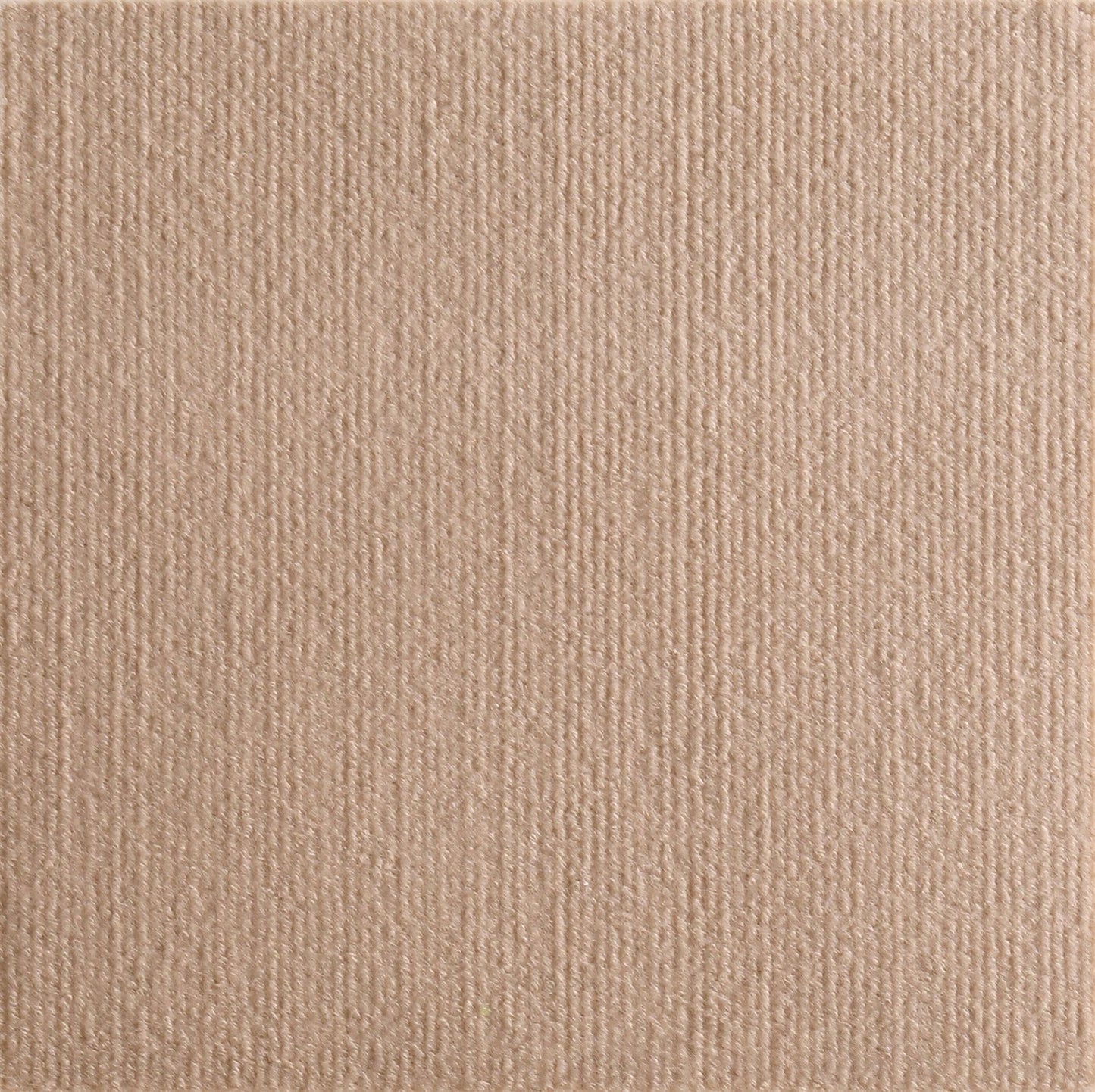 Norvo | Katt Kloring Matte