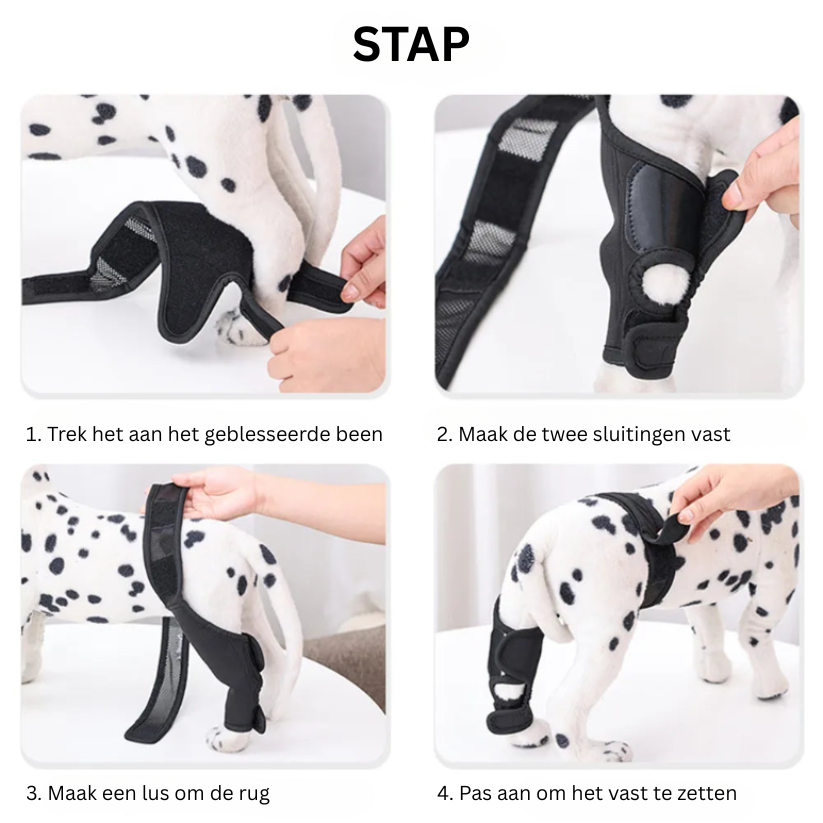 Norvo | PootVitaal Kneebrak for hunder – Støtte for leddsmerter og rehabilitering