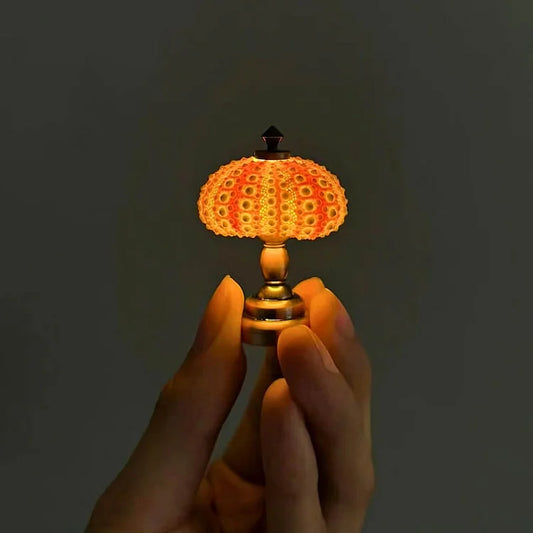 Norvo | LumiCraft – Unik DIY bordlampe med naturlig sjøskjell for en koselig dekor