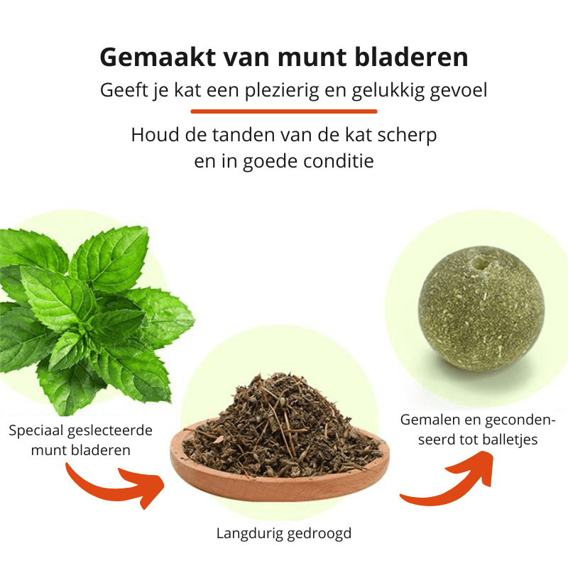 Norvo | PURRFECT KATTNIP LEKETØY – Katt leketøy med mynt & roterende ball for sunne tenner