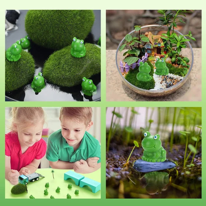 Norvo | Tiny Frog | Challenge Hiding Frog