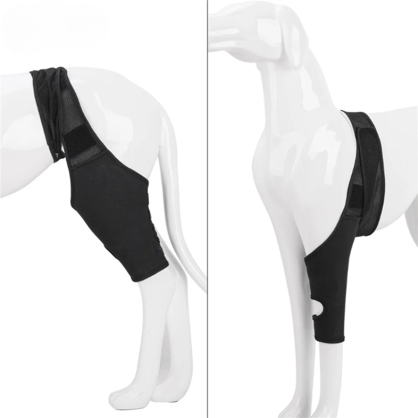 Norvo | PootVitaal Kneebrak for hunder – Støtte for leddsmerter og rehabilitering
