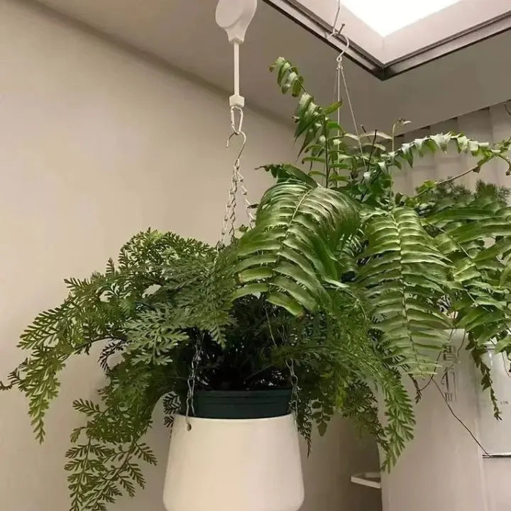 Norvo | FlexiBloom — Få smertefri plantepleie og et stilig hjem uten ryggsmerter! (2 deler)