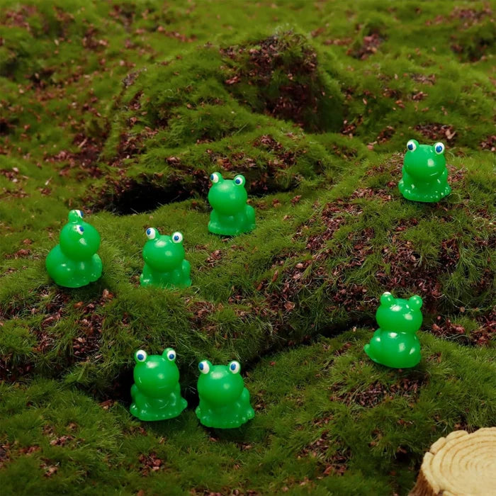 Norvo | Tiny Frog | Challenge Hiding Frog