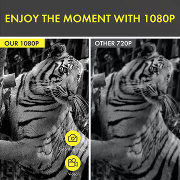 Norvo | Natt syn Monokular