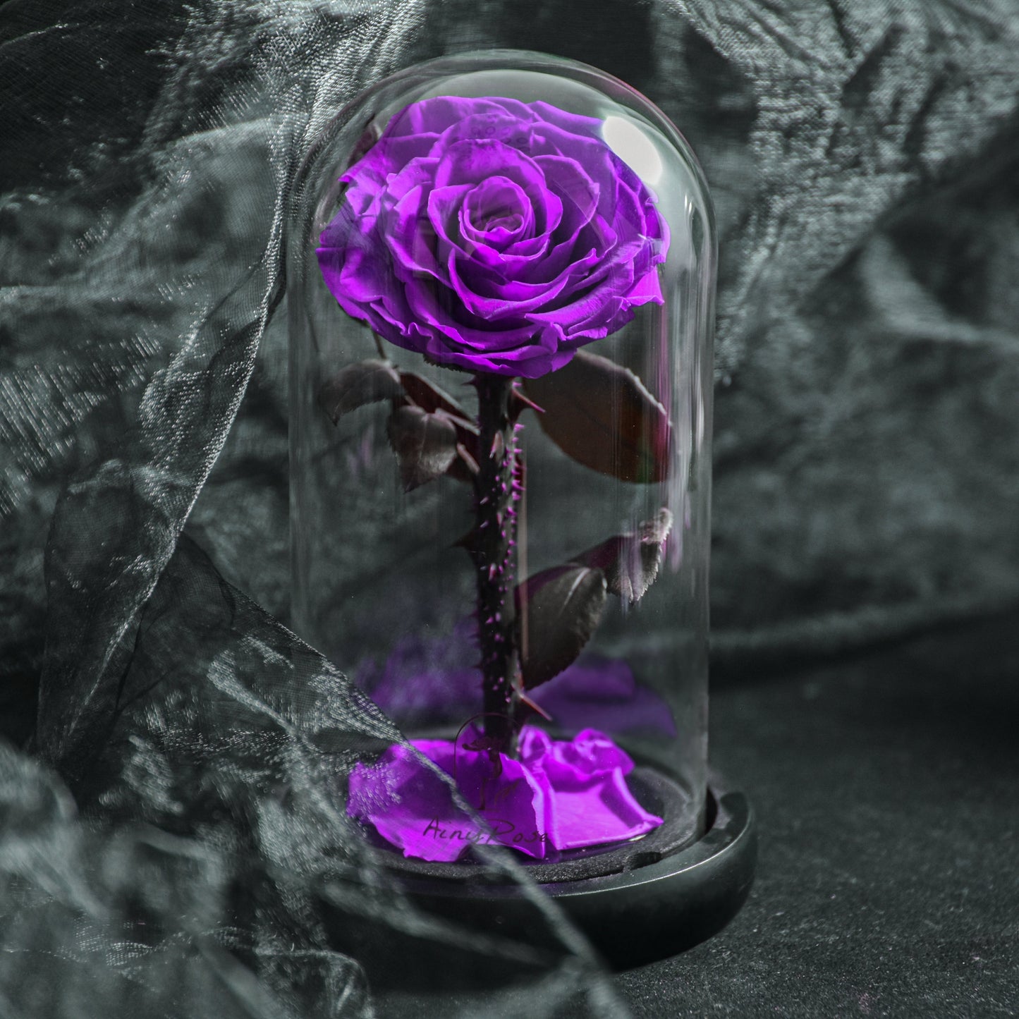Norvo | Forever Rose – Evig rose i glasskuppel, 3 dager leveringstid – Rosa