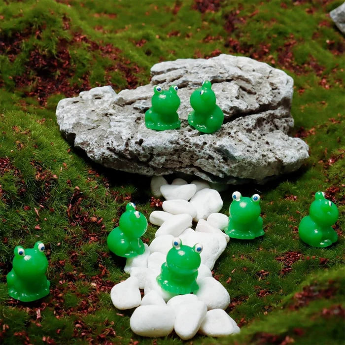 Norvo | Tiny Frog | Challenge Hiding Frog