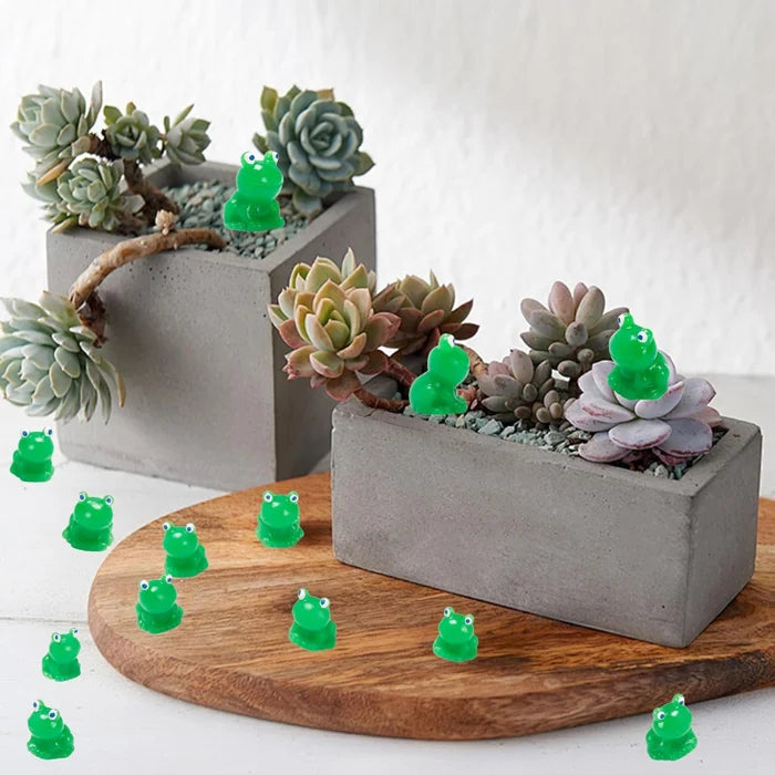 Norvo | Tiny Frog | Challenge Hiding Frog