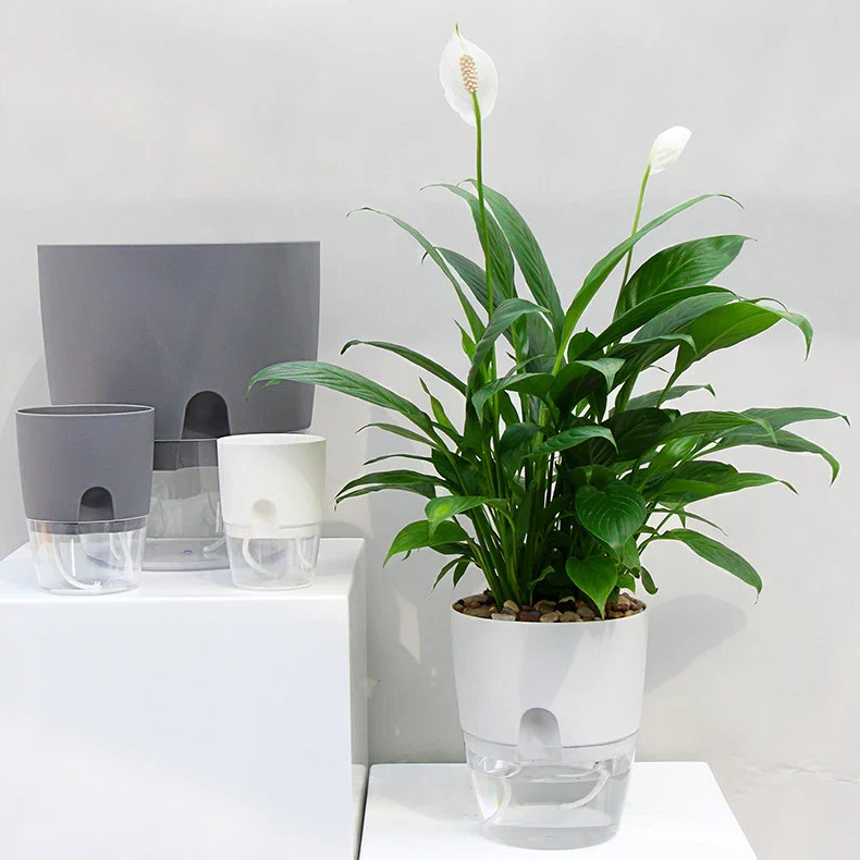 Norvo | Selv vanning planter