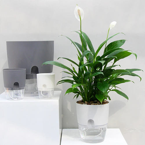 Norvo | Selv vanning planter