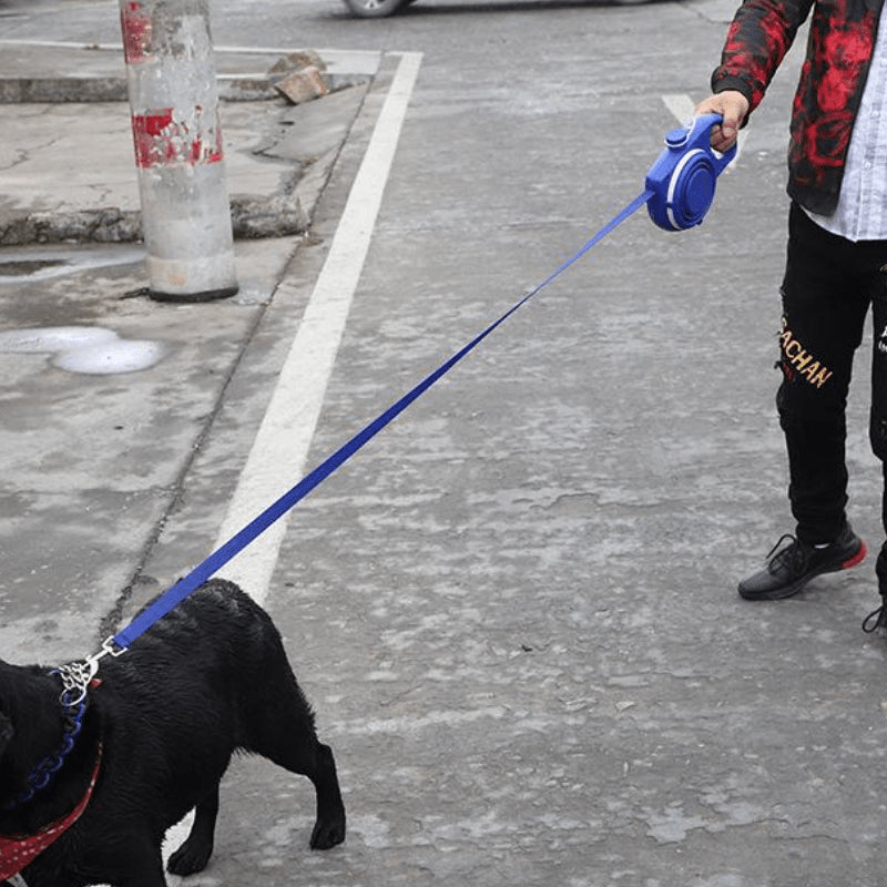 Norvo | 4 i 1 Hundekortlåser