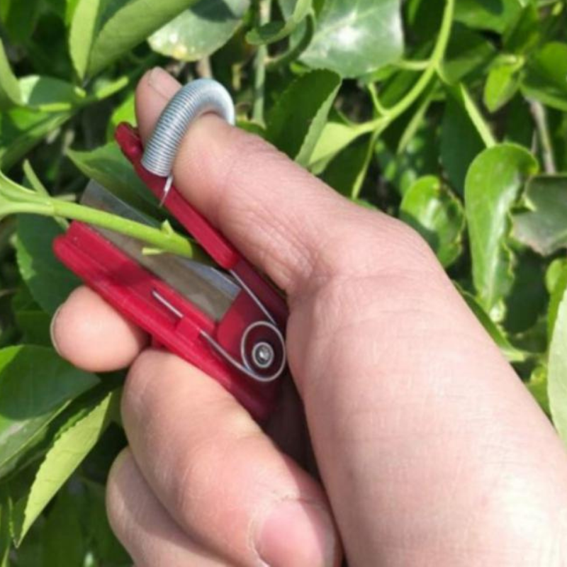 Norvo | GardenGrip | Enkelt høste dine egne grønnsaker og frukt med dette praktiske verktøyet!