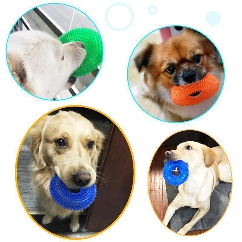 Vocal Ball Hundekjøttleketøy | Norvo