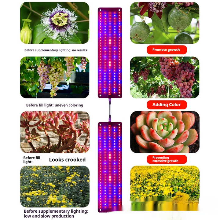 Norvo | LED Quantum Plante Lys Panel for Vekst og Farge Fremming – Med Justerbar Lysmodus