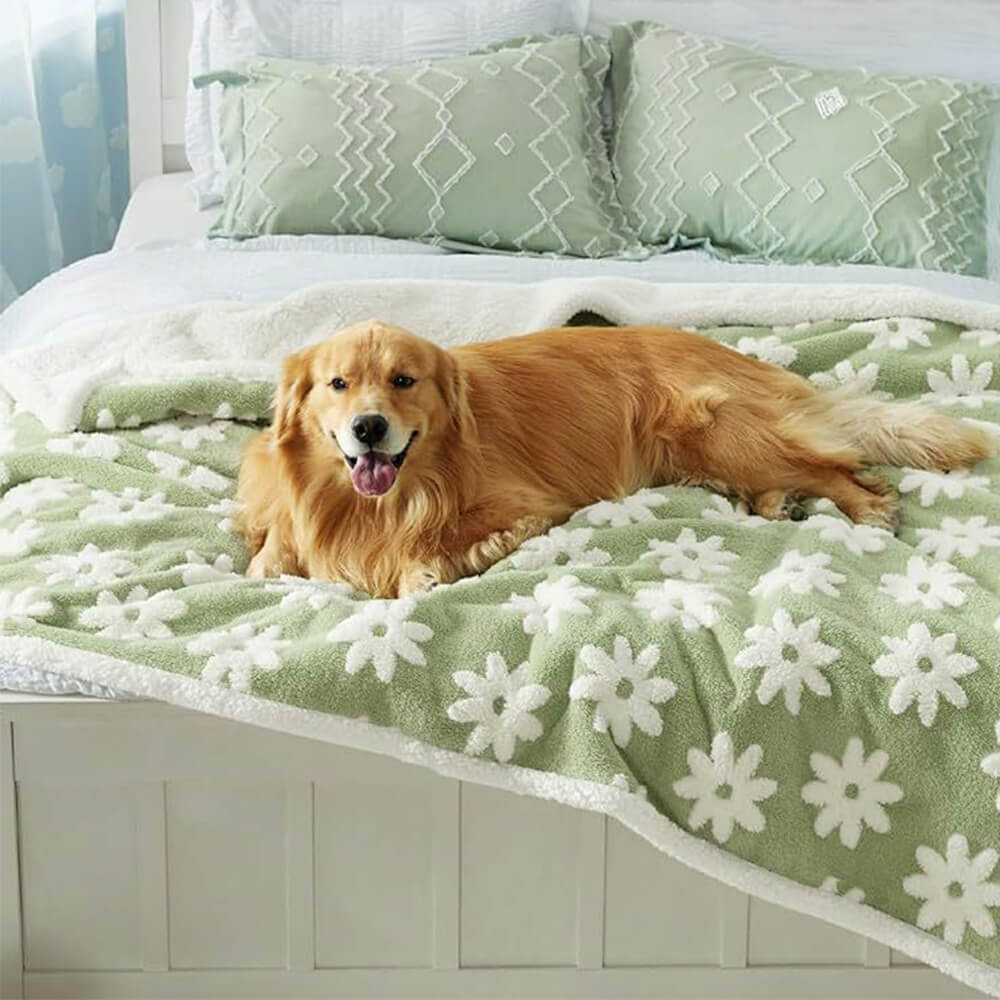 Norvo | Flocket Vanntett Multi-Funksjonell Sherpa Hundeteppe