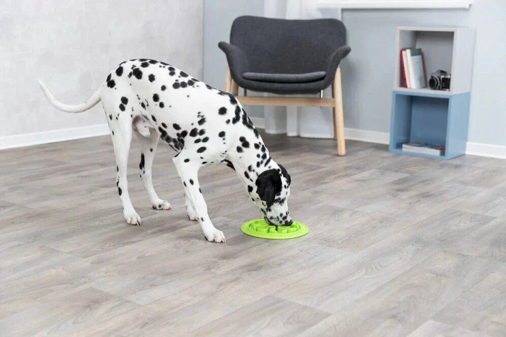 Norvo | Silikon Mat for Langsom Spising – 24 cm