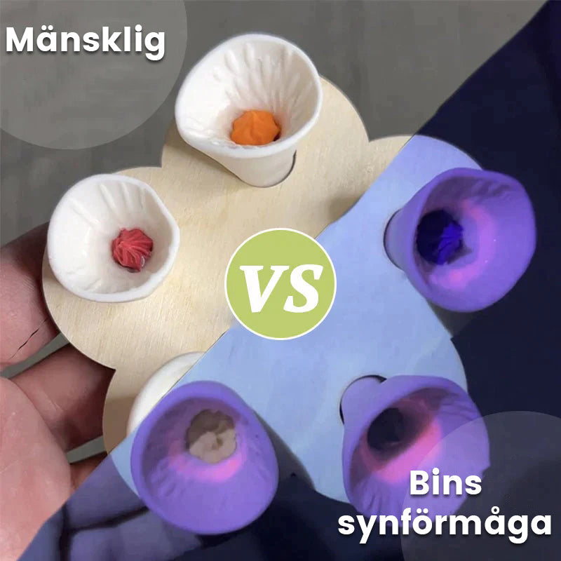 Norvo | Drikkekopp for bier og insekter