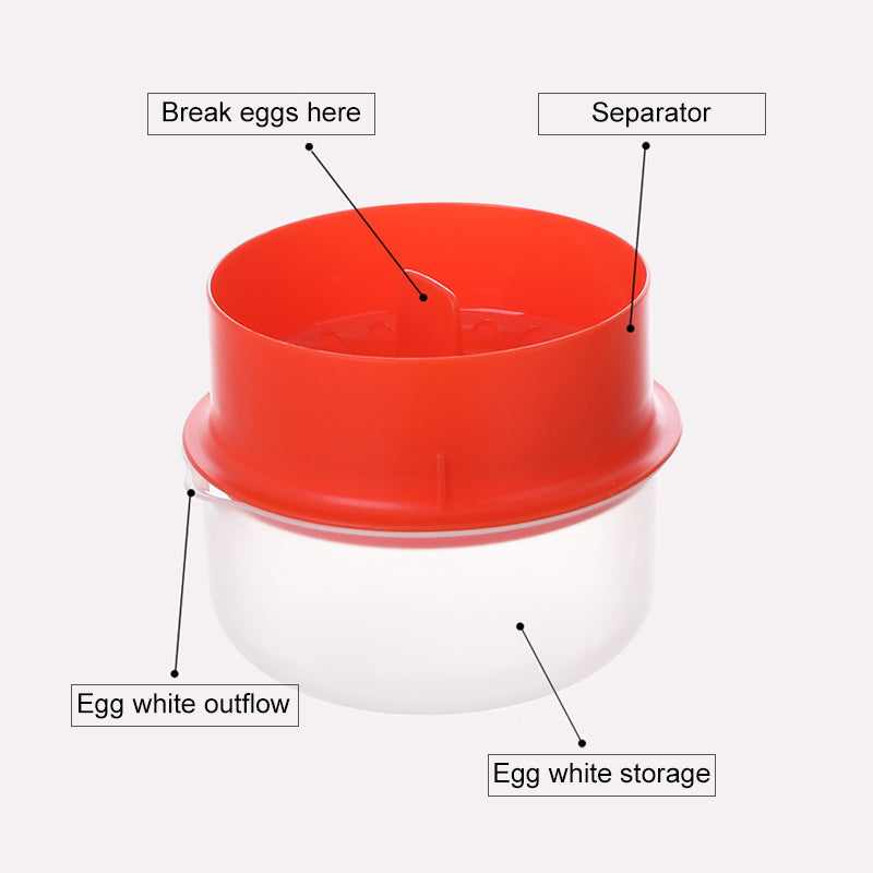 Egg White And Yolk Separator | Norvo