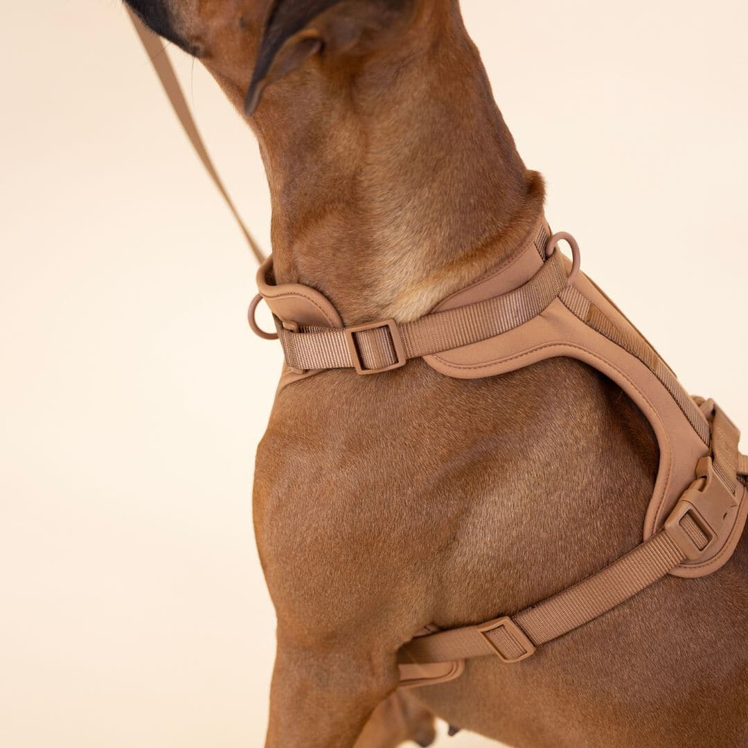 Norvo | ComfyPaws Hundesele Gåsett med Bånd og Bæsjeposeholder