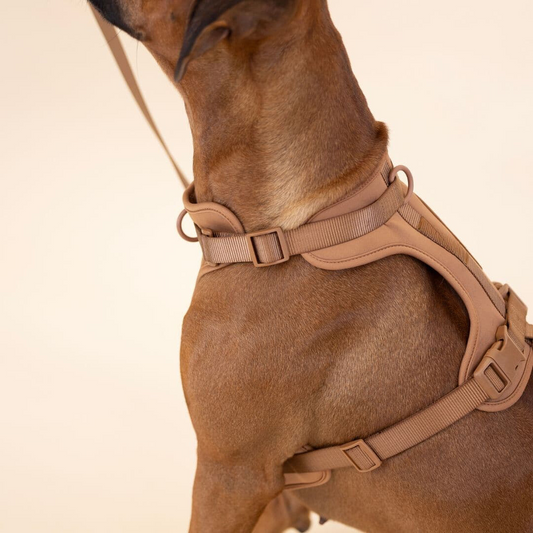 Norvo | ComfyPaws Hundesele Gåsett med Bånd og Bæsjeposeholder