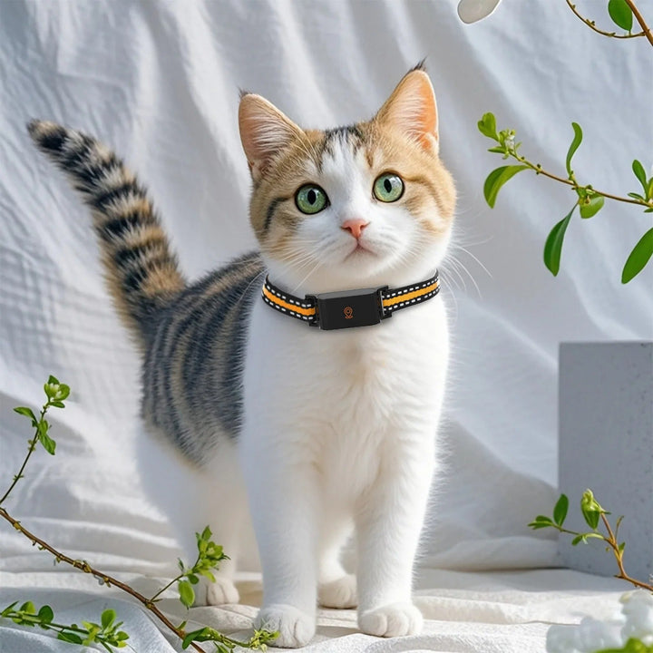 Norvo | GPS Hund og Katt Halsbånd – Ubegrenset Rekkevidde Real-Time Tracker