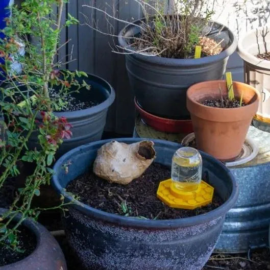 Norvo | BuzziNest — Beskytt biene dine og gjør hagen din til en blomstrende drøm om liv!