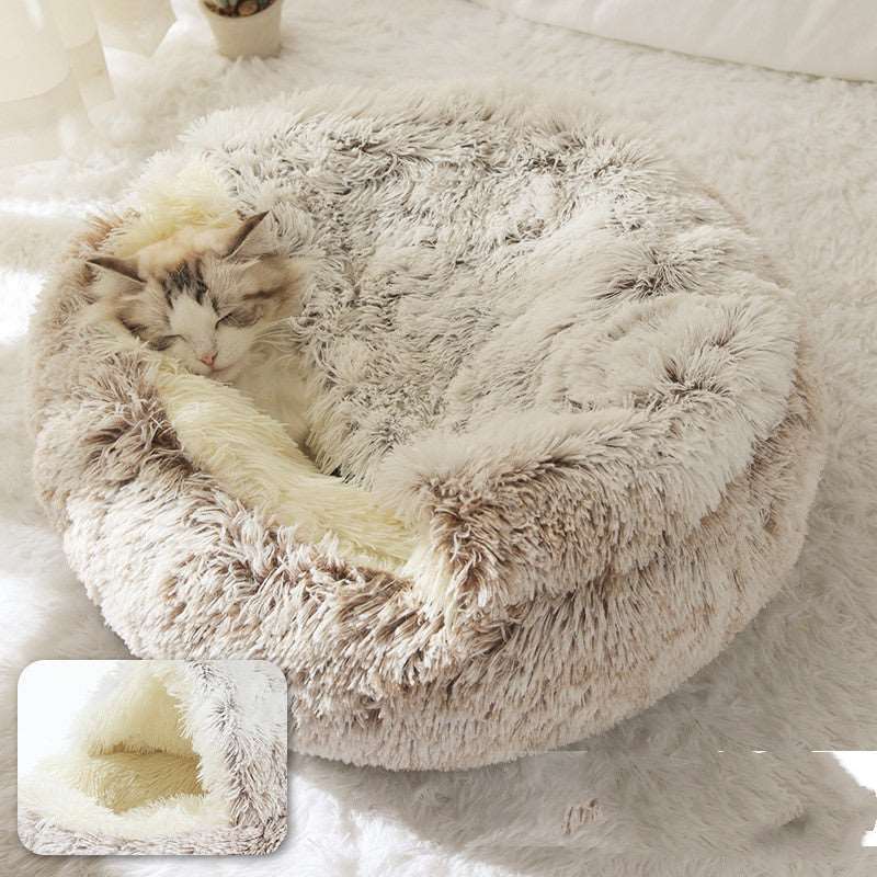 Norvo | Katt Seng Kose Hule 2 I 1