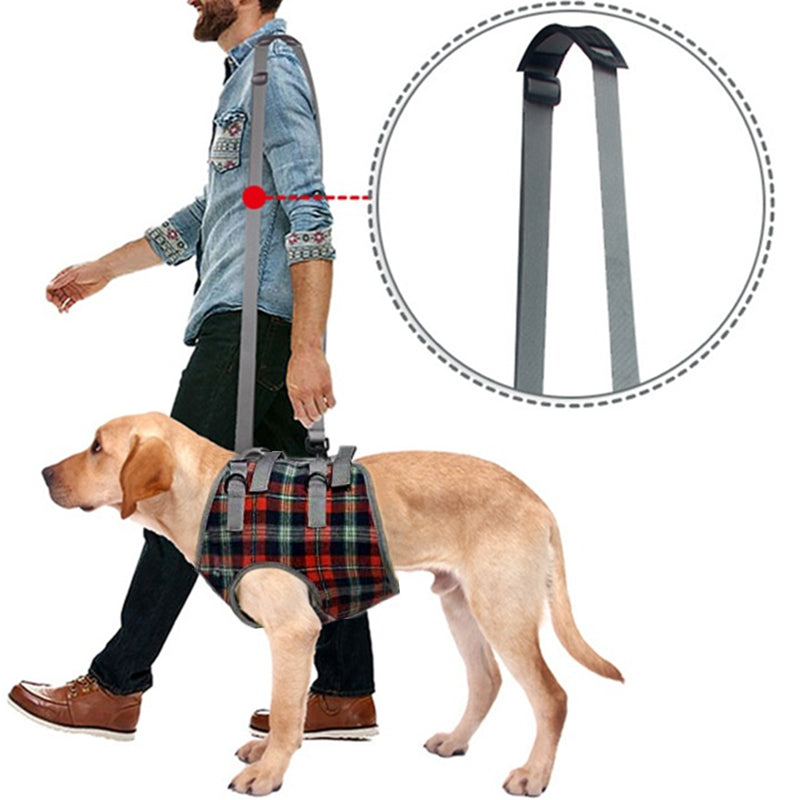 Norvo | Dog Lift Harness with Handle, Pet Recovery Sling
