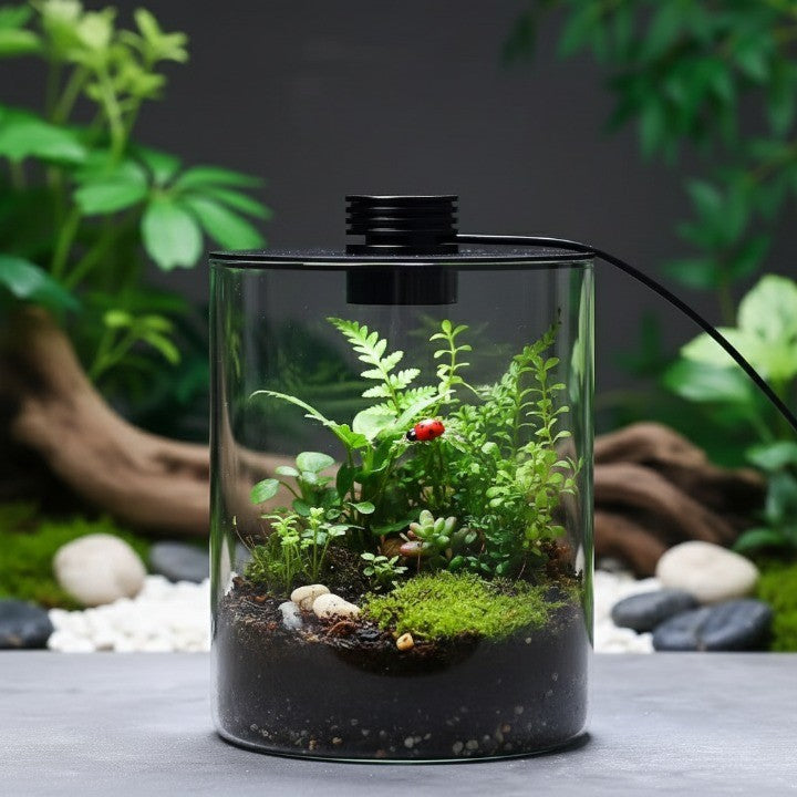 Norvo | Mini Forest Maker Terrarium Dekor Vase