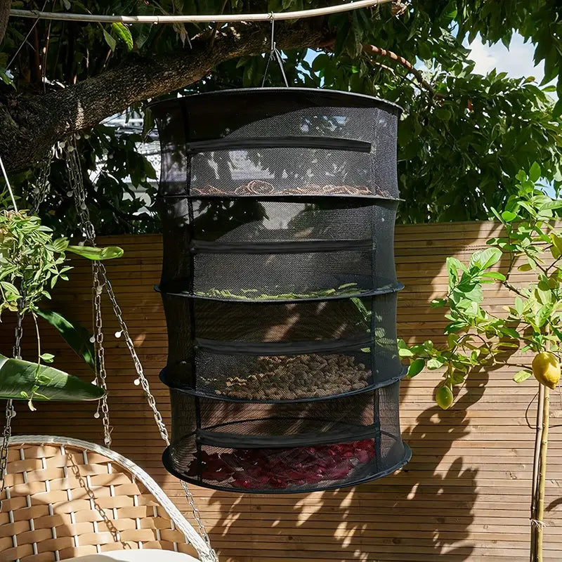 Norvo | Sammenleggbar tørkekurv for frukt, grønnsaker og urter – Multilags nettlagring for rask tørkeprosess