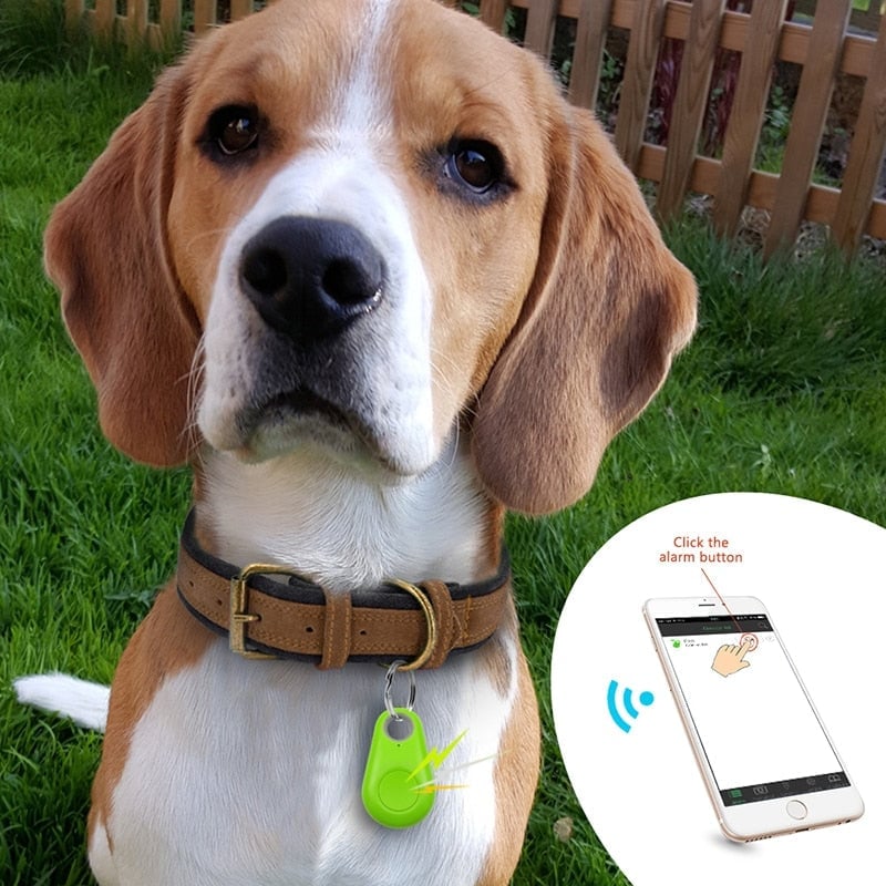Norvo | Bluetooth og GPS Haustetracker