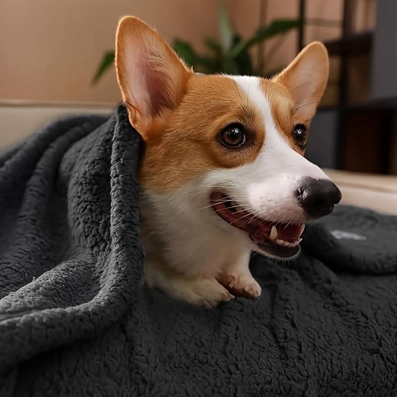 Norvo | FLOOPIE - Premium Pet Fleece Blanket