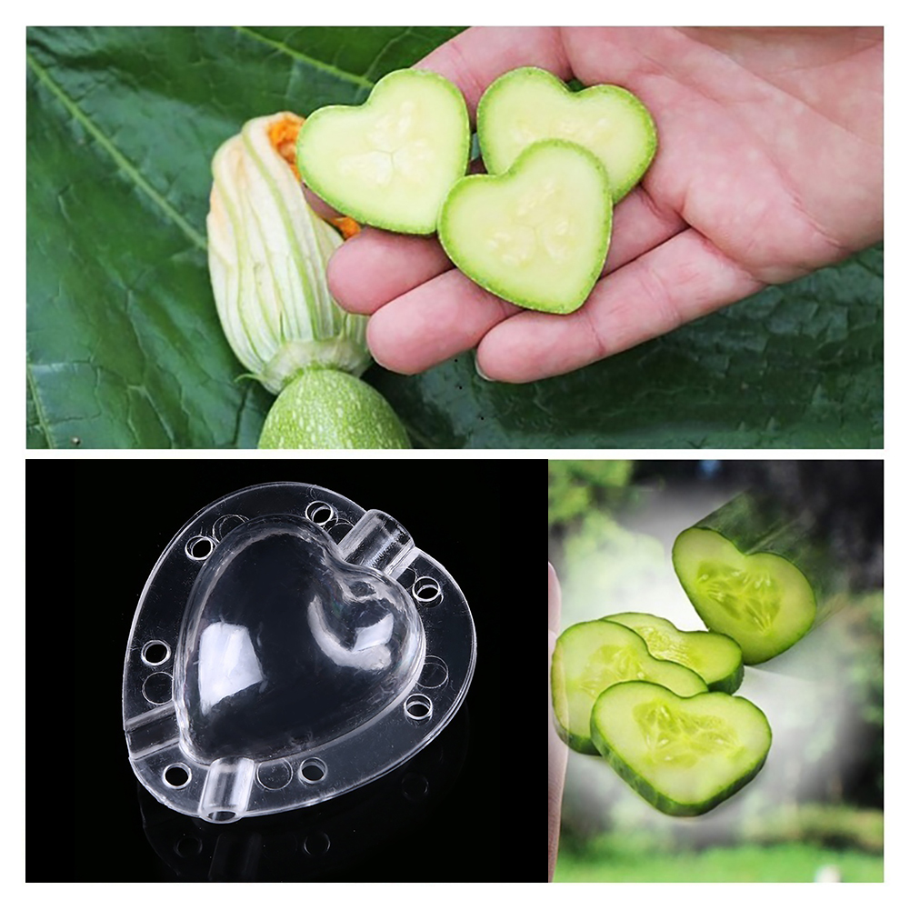 Norvo | Hjerteformet Grønnsakskutter – Kreativ Mold Skål for Grønnsaker og Frukt