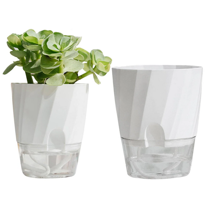 Norvo | Selv vanning planter
