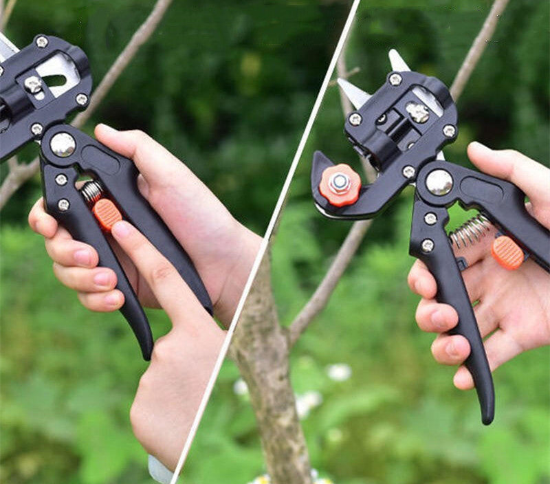 Norvo | Manuelle Tre Grafting Saks