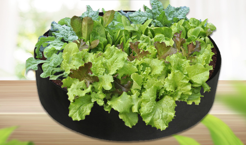 Norvo | Rund plantevekstpose – Hagebeholder for enkel plantevekst