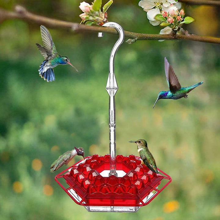Norvo | Ny Kolibri Matare
