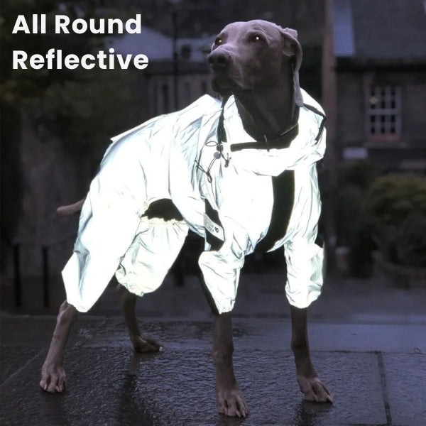 Norvo | Vanntett hundejakke med ben – Refleksregnjakke for hunder i små og store raser | Best regnjakke for hunder UK