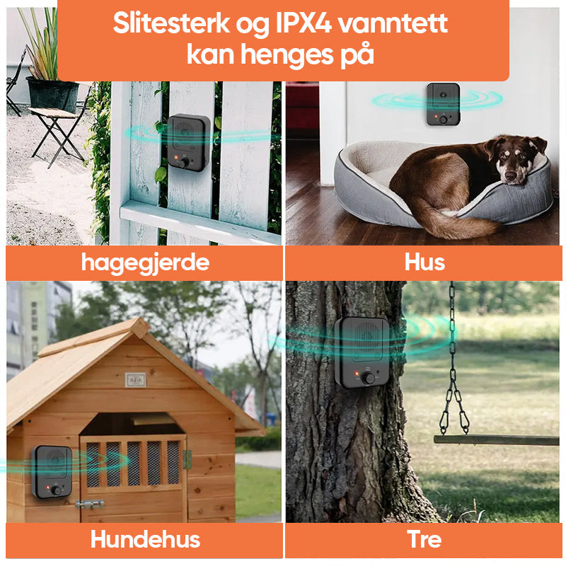 Norvo | Hundebjeffingstrener