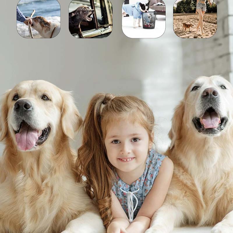 norvo | Hund forynger