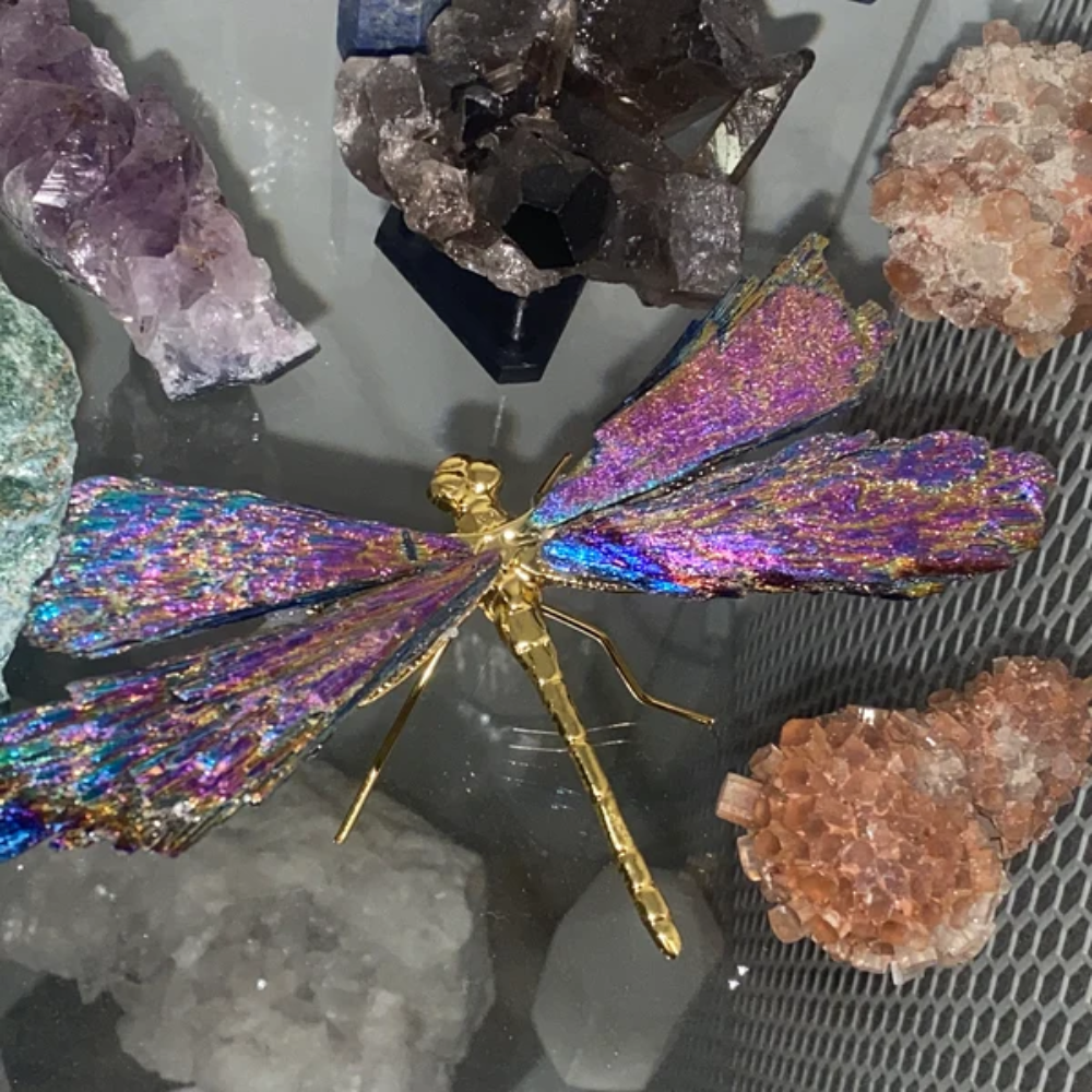 Norvo | Aurora Libelle Charm