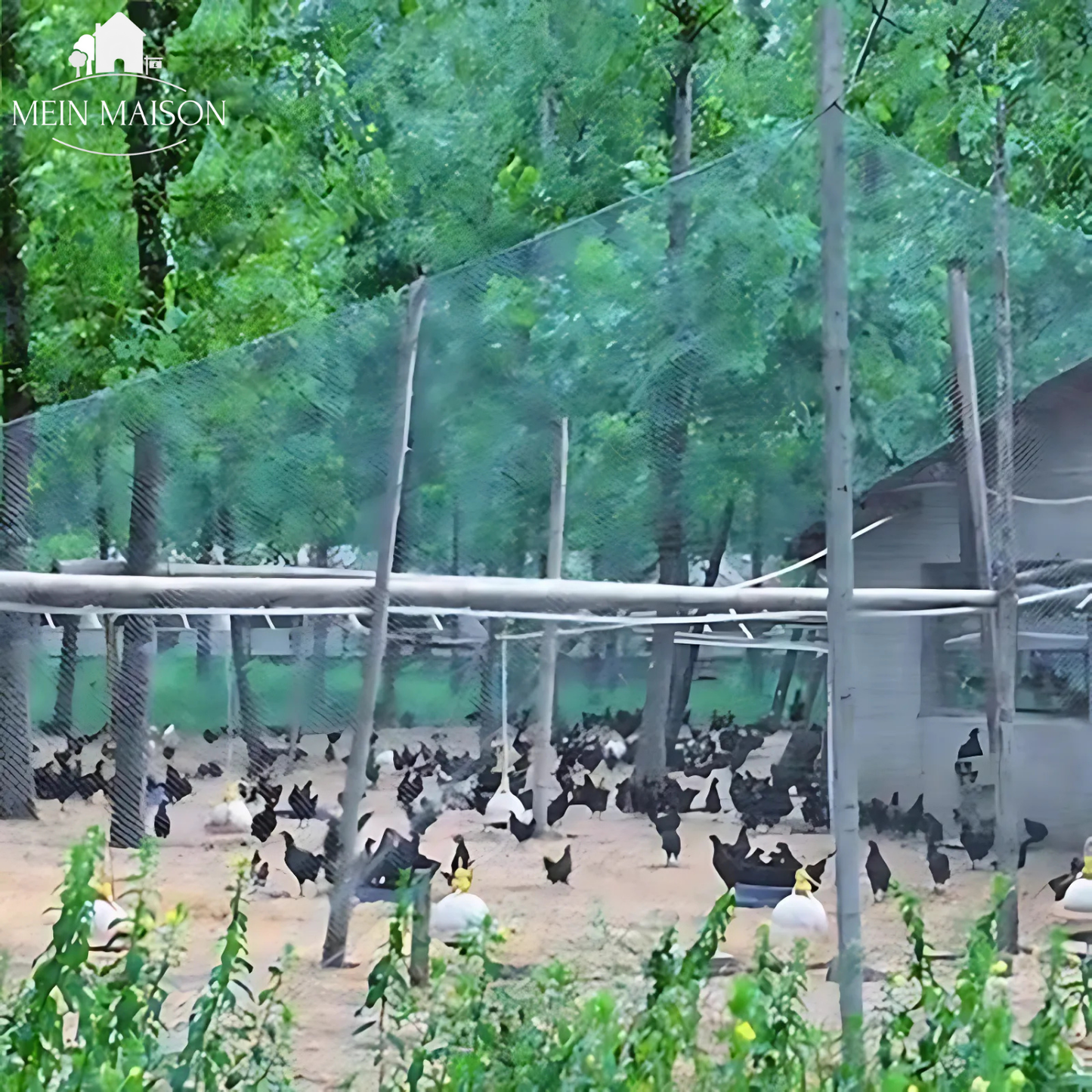 Norvo | AgriNet Pro Hage Nett UV-resistent Rivesterk Allsidig Plantebeskyttelse Tilpassede størrelser tilgjengelig